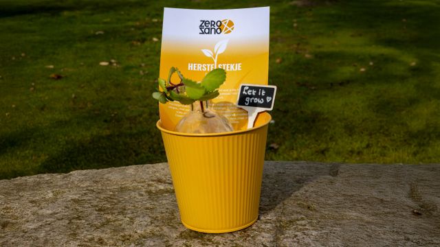 Het Zero&Sano Herstelstekje