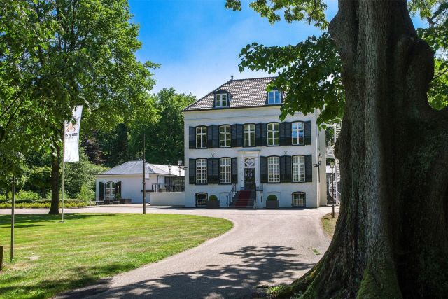 New Quelsa study on effectiveness and reviews